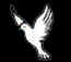 dove3.jpg (4861 bytes)